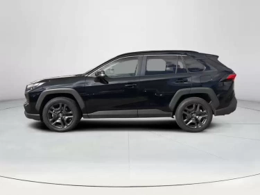 Foto van Toyota RAV4