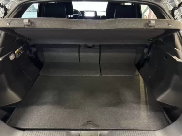 Foto van Toyota Urban Cruiser