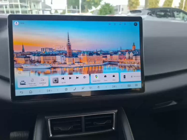 Foto van BYD ATTO 2