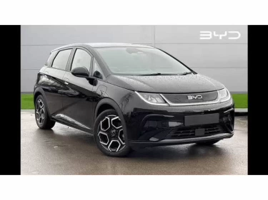 Foto van BYD DOLPHIN