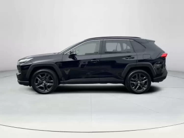 Foto van Toyota RAV4