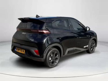 Foto van BYD DOLPHIN SURF