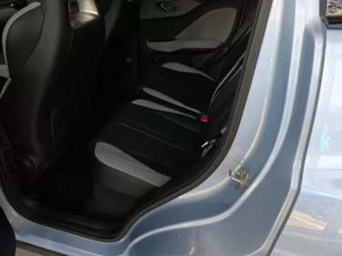 Foto van BYD DOLPHIN SURF