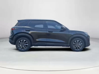 Foto van BYD ATTO 2