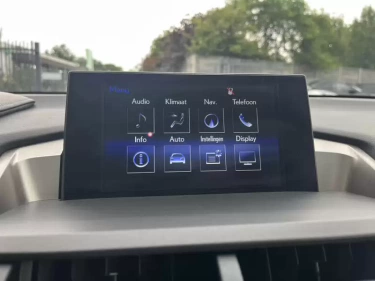 Foto van Lexus NX