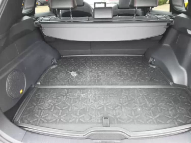 Foto van Toyota RAV4