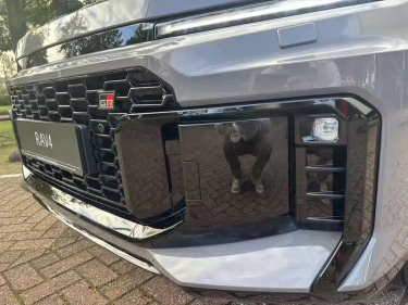 Foto van Toyota RAV4