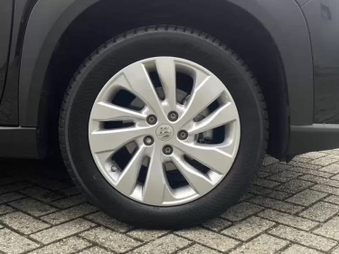 Foto van Suzuki S-Cross