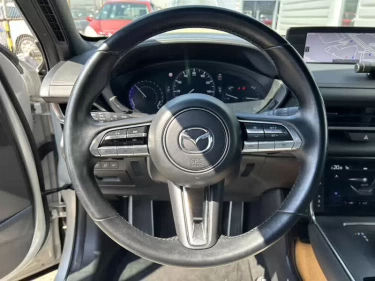 Foto van Mazda MX-30