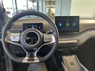 Foto van BYD DOLPHIN SURF