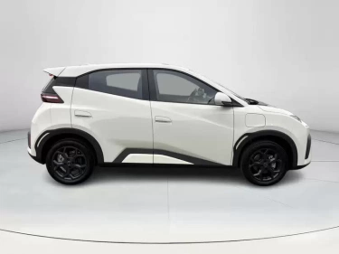 Foto van BYD DOLPHIN SURF