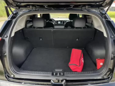 Foto van Kia Niro