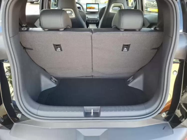 Foto van BYD DOLPHIN SURF