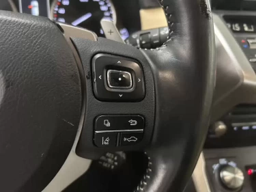 Foto van Lexus NX