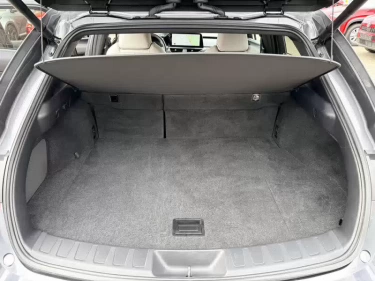 Foto van Lexus UX