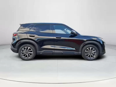Foto van BYD ATTO 2