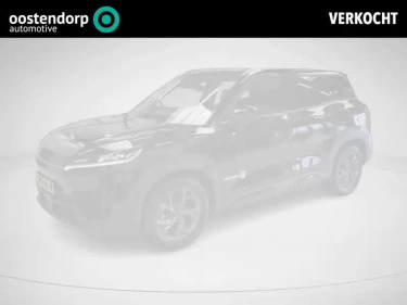 Foto van BYD ATTO 2