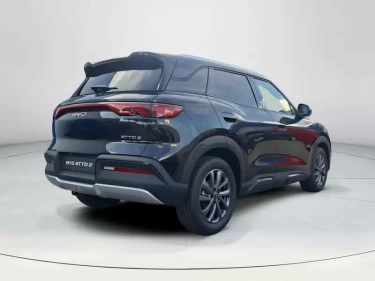 Foto van BYD ATTO 2