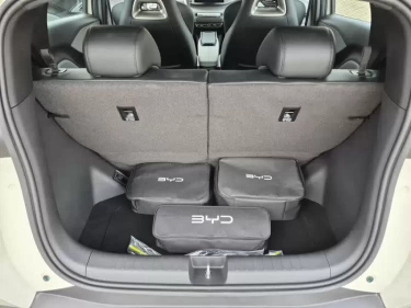 Foto van BYD DOLPHIN SURF