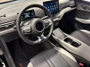 Foto van BYD DOLPHIN SURF