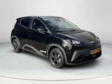 Foto van BYD DOLPHIN SURF