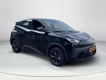 Foto van BYD DOLPHIN SURF