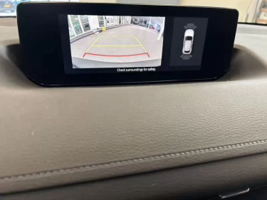 Foto van Mazda MX-30