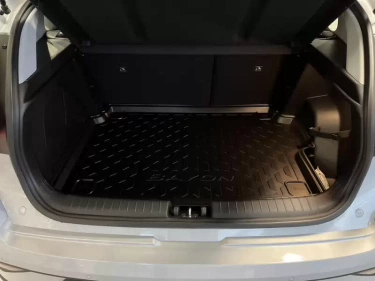 Foto van Hyundai Bayon