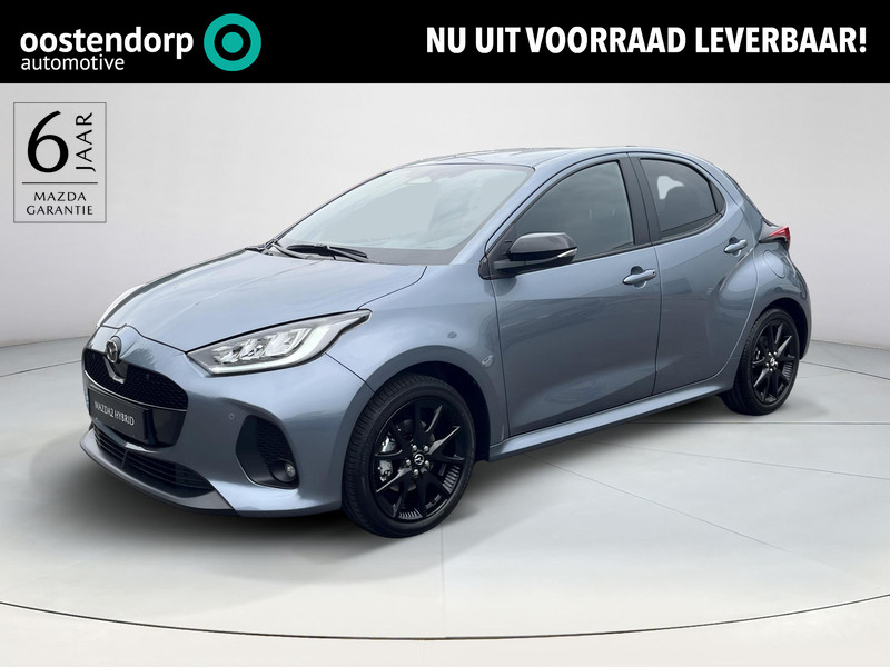 Afbeelding van de auto