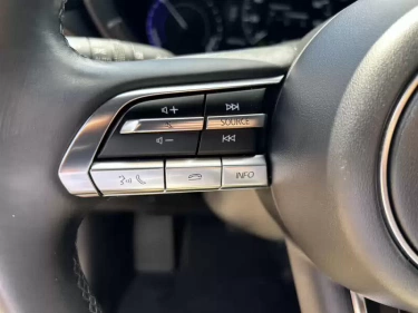 Foto van Mazda MX-30