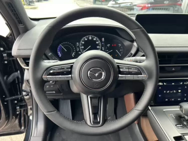 Foto van Mazda MX-30