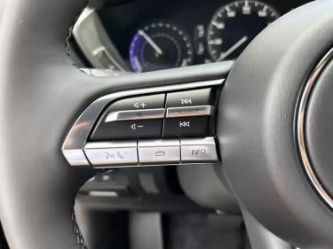 Foto van Mazda MX-30