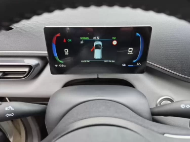 Foto van BYD DOLPHIN SURF