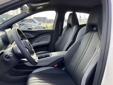 Foto van BYD DOLPHIN SURF