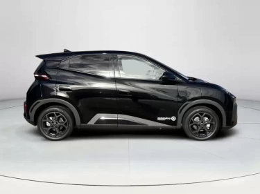Foto van BYD DOLPHIN SURF