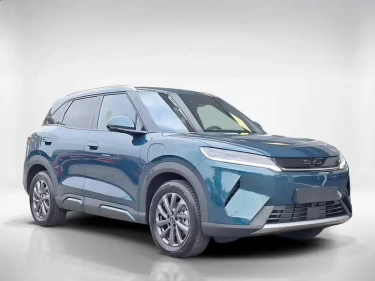 Foto van BYD ATTO 2