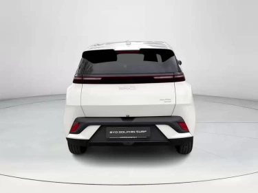 Foto van BYD DOLPHIN SURF