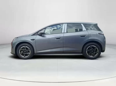 Foto van BYD DOLPHIN G