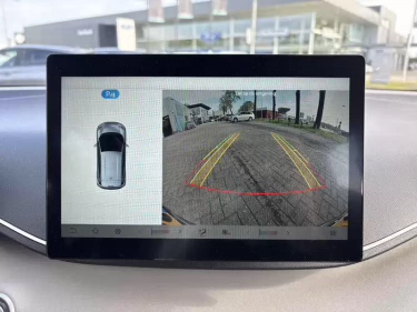 Foto van BYD DOLPHIN SURF