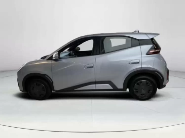 Foto van BYD DOLPHIN SURF