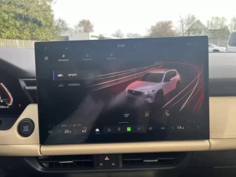 Afbeelding van de auto