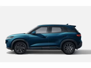 Foto van BYD ATTO 2