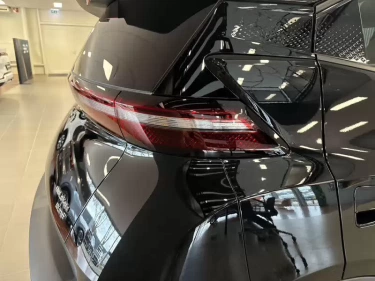 Foto van BYD DOLPHIN SURF