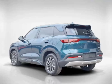 Foto van BYD ATTO 2