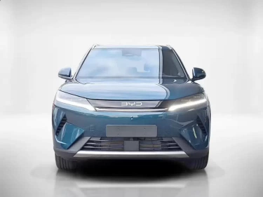 Foto van BYD ATTO 2