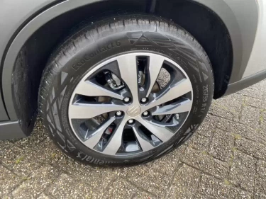 Foto van Suzuki S-Cross