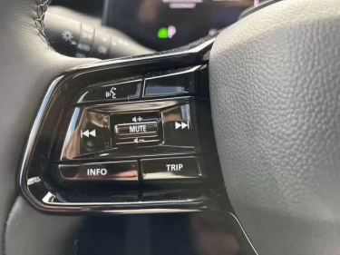 Foto van Toyota Urban Cruiser