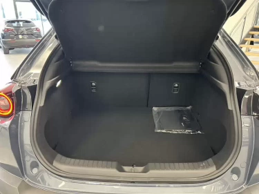 Foto van Mazda MX-30