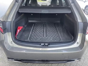 Foto van Suzuki Swace