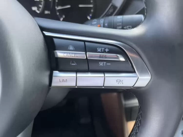 Foto van Mazda MX-30